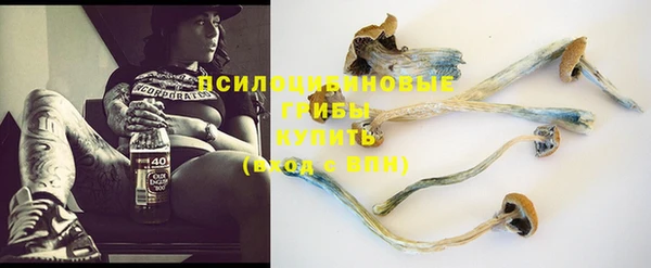 ПСИЛОЦИБИНОВЫЕ ГРИБЫ Краснослободск