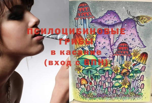 кокс Корсаков