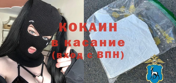 молекула духа Костерёво