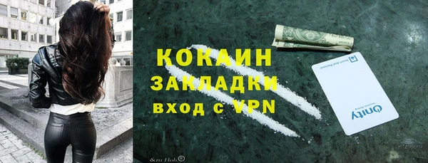 молекула духа Костерёво