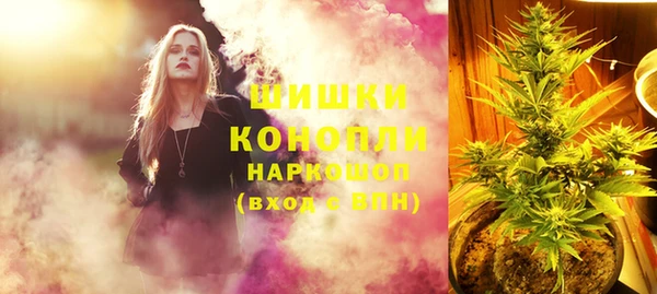 ПСИЛОЦИБИНОВЫЕ ГРИБЫ Краснослободск