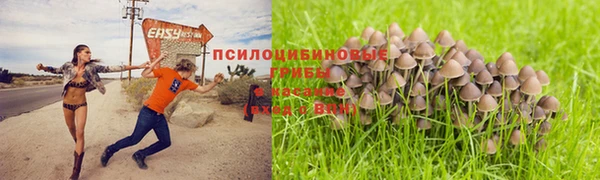 молекула духа Костерёво
