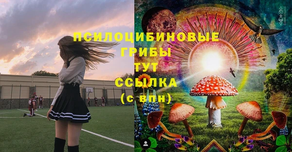 ПСИЛОЦИБИНОВЫЕ ГРИБЫ Краснослободск